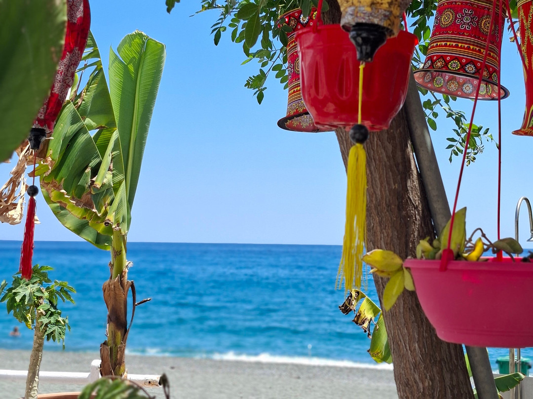 Safari Crete Experience-Agios Nikolaos必去景点