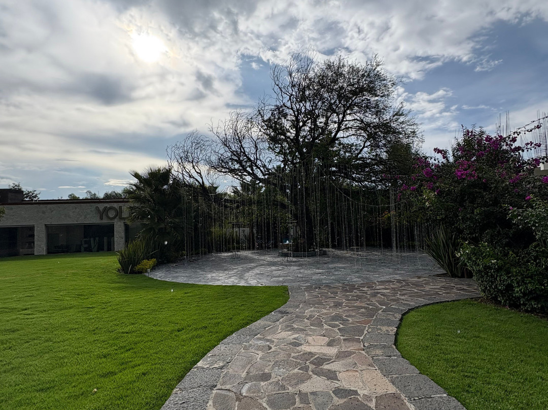 Yolihuani Relax Resort-Calvillo必去景点