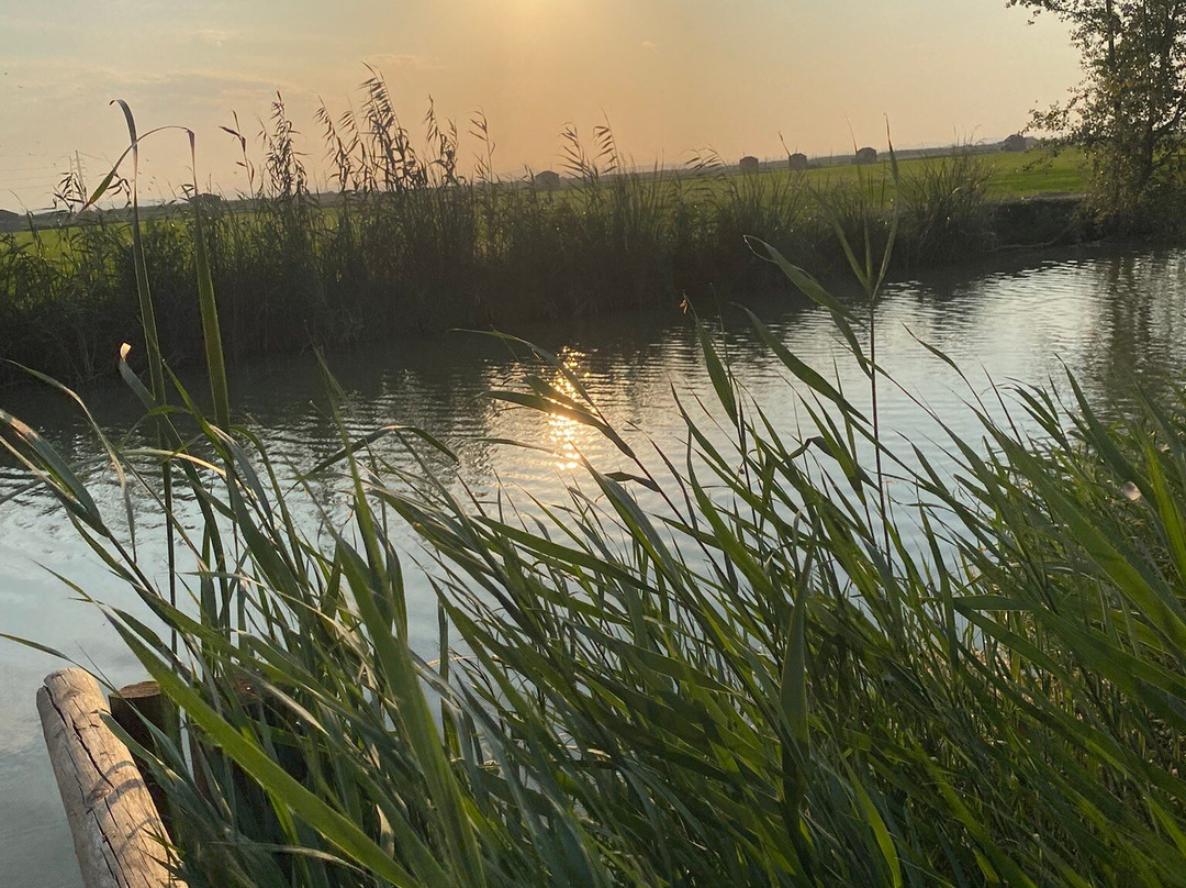 Visit Albufera-巴伦西亚必去景点