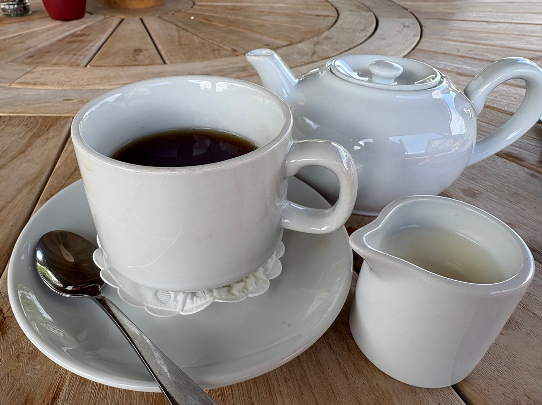 Forest Of The Falls Cafe