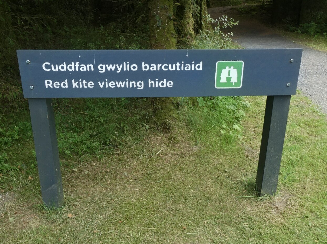 Bwlch Nant yr Arian Forest Visitor Centre-阿伯里斯特威斯必去景点