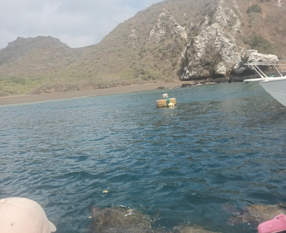 Isla de la Plata-Puerto Lopez必去景点