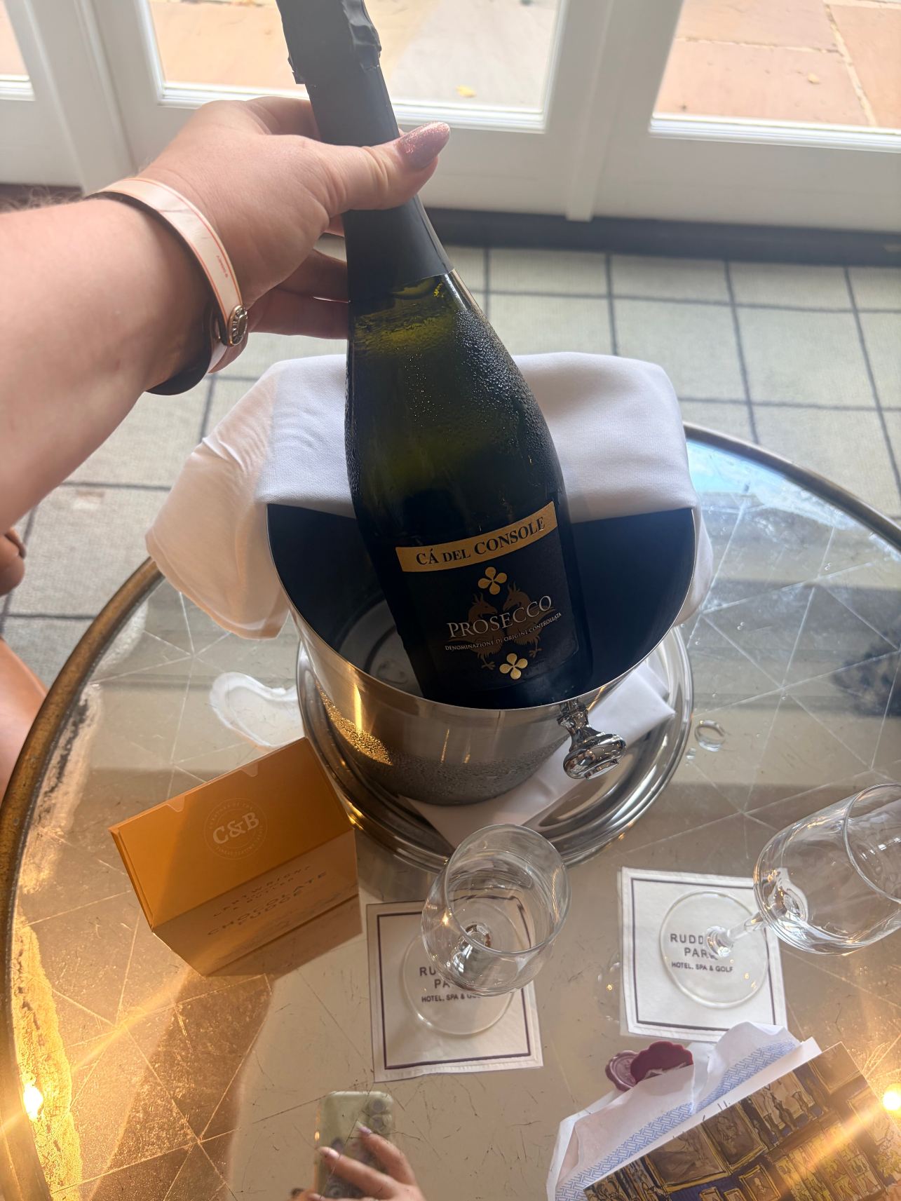 罗丁公园酒店-旅行者