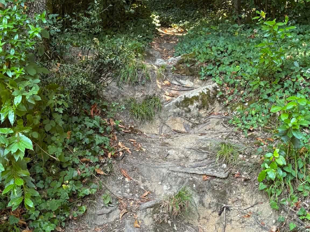 Parc du Castel-Floirac必去景点