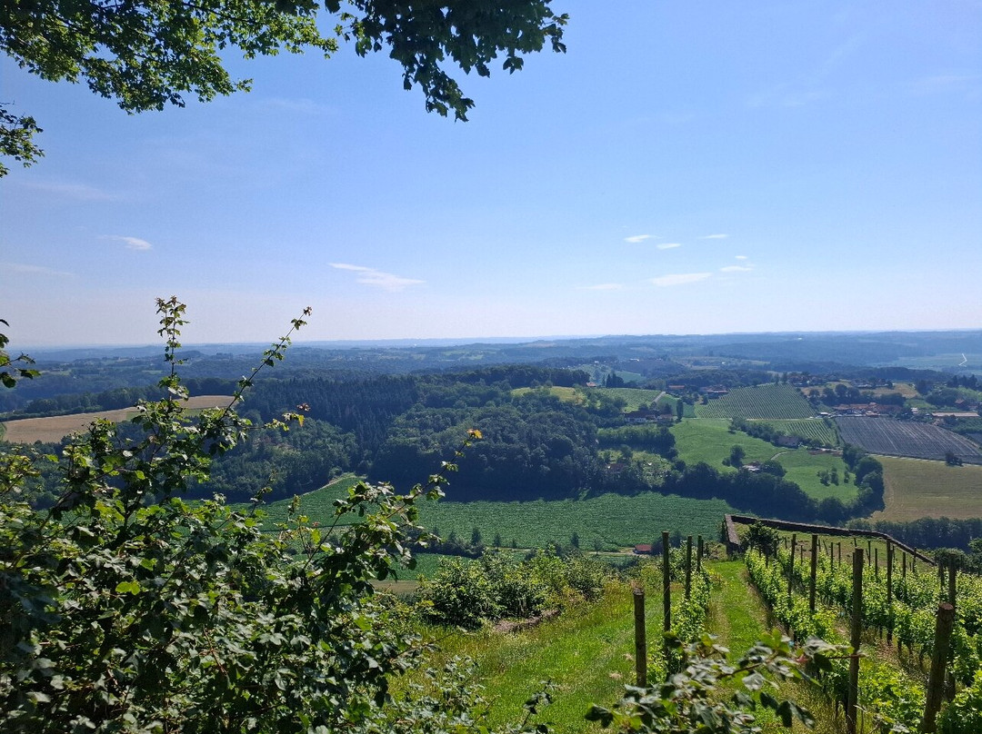 Riegersburg Castle-Riegersburg必去景点