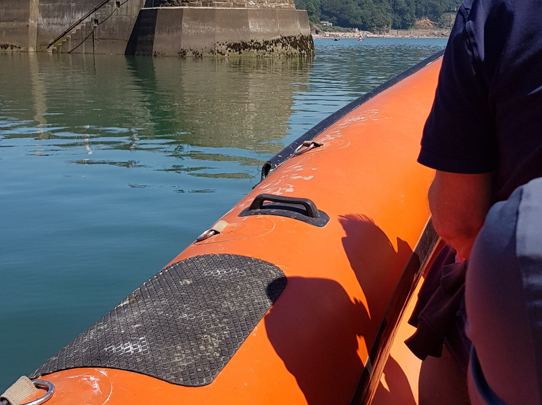 Saundersfoot Sea Safari-桑德斯富特必去景点