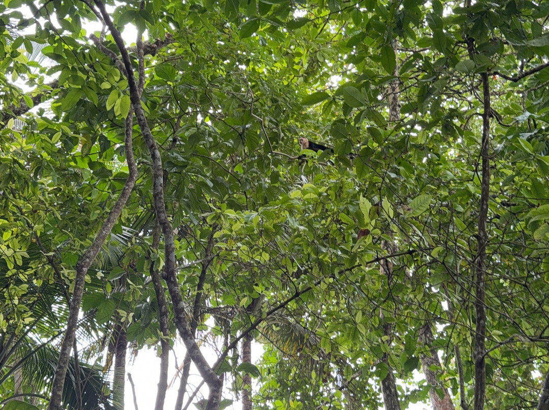 Cahuita National Park-卡维塔必去景点