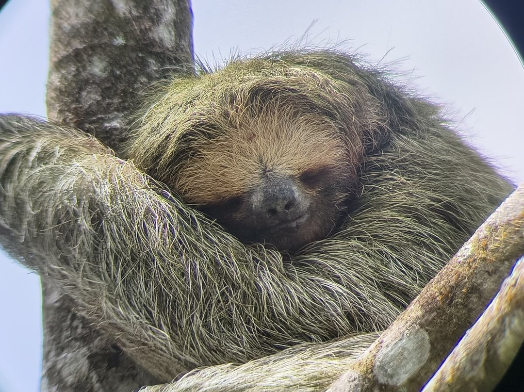 Issys Tours Costa Rica-萨迪纳尔必去景点