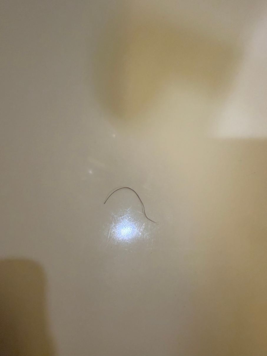 Holiday Inn 圣安东尼奥NW - 海洋世界区-旅行者