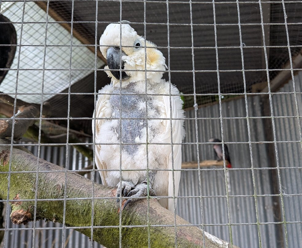 Porfell Wildlife Park & Sanctuary-利斯卡德必去景点