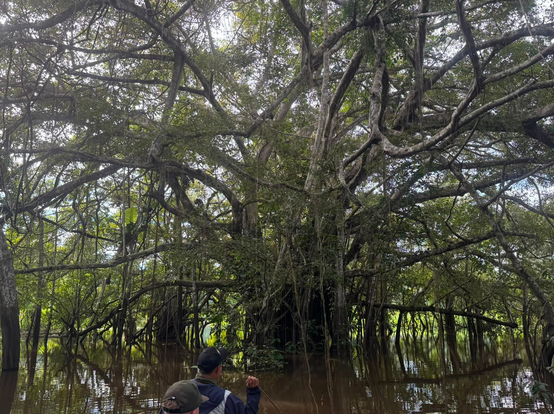 Amazon Fronteras Jungle Tours-莱蒂西亚必去景点