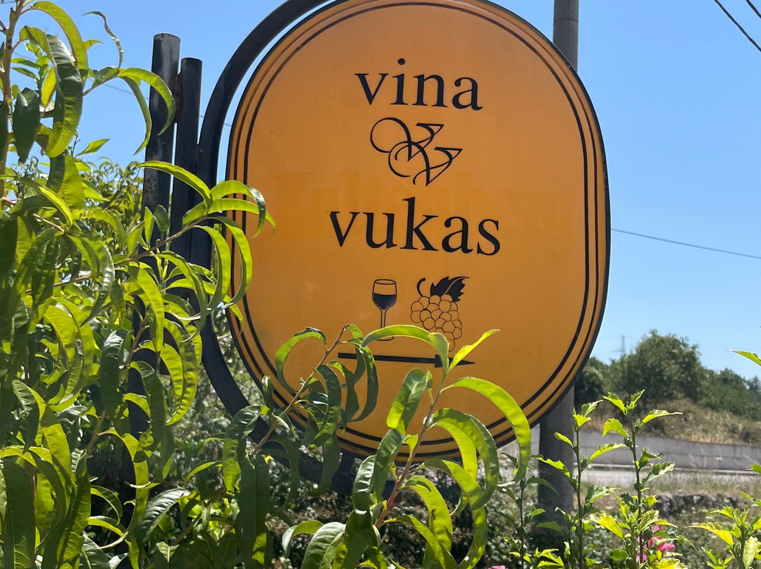Vina Vukas-斯顿必去景点