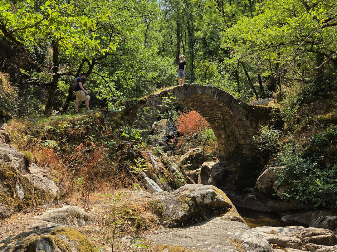 Tours du Roc del Thaluc-Peyrusse-le-Roc必去景点