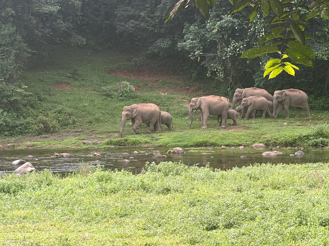 Munnar Info-慕那尔必去景点