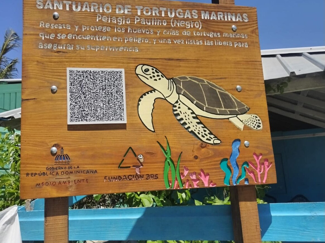 Centro Recuperación De Tortugas Marinas