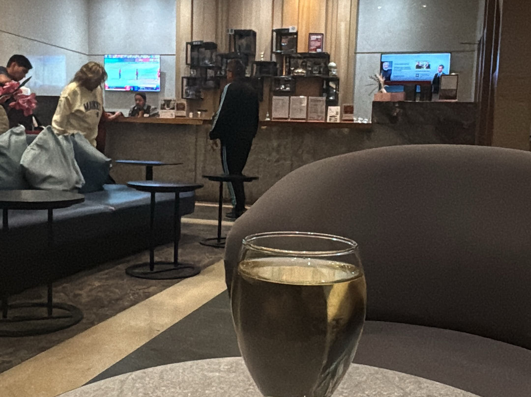 Plaza Premium Lounge Heathrow T2 Departures-伦敦必去景点