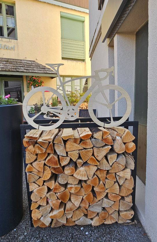 Hotel Le Lodge-旅行者