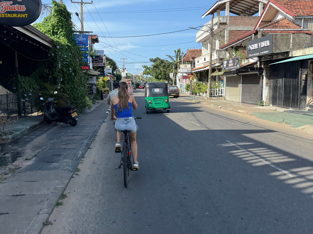 Enviro Bicycle Tours-尼甘布必去景点
