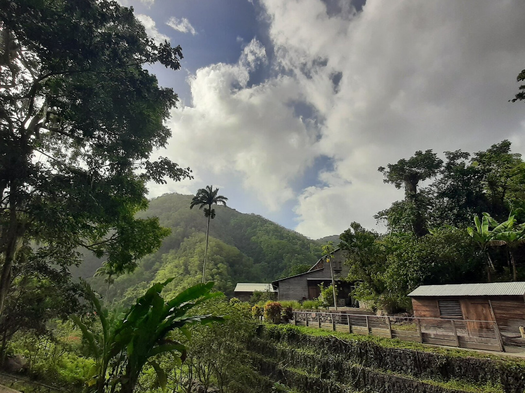 Domaine de l'Habitation la Grivelière-Vieux-Habitants必去景点