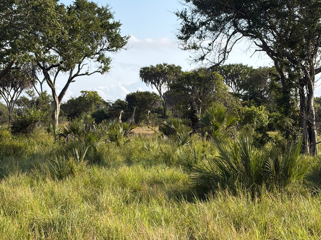 Tent With a View Safaris-Dar es Salaam必去景点