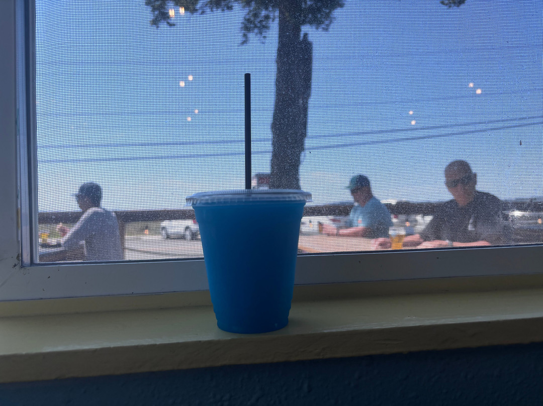Beach Cat Brewing