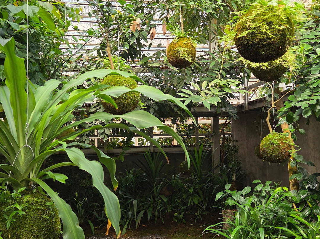 Rumah Atsiri Indonesia-Tawangmangu必去景点