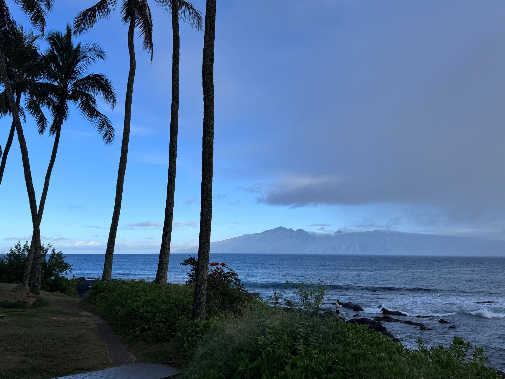 城堡纳皮利冲浪海滩度假村-旅行者
