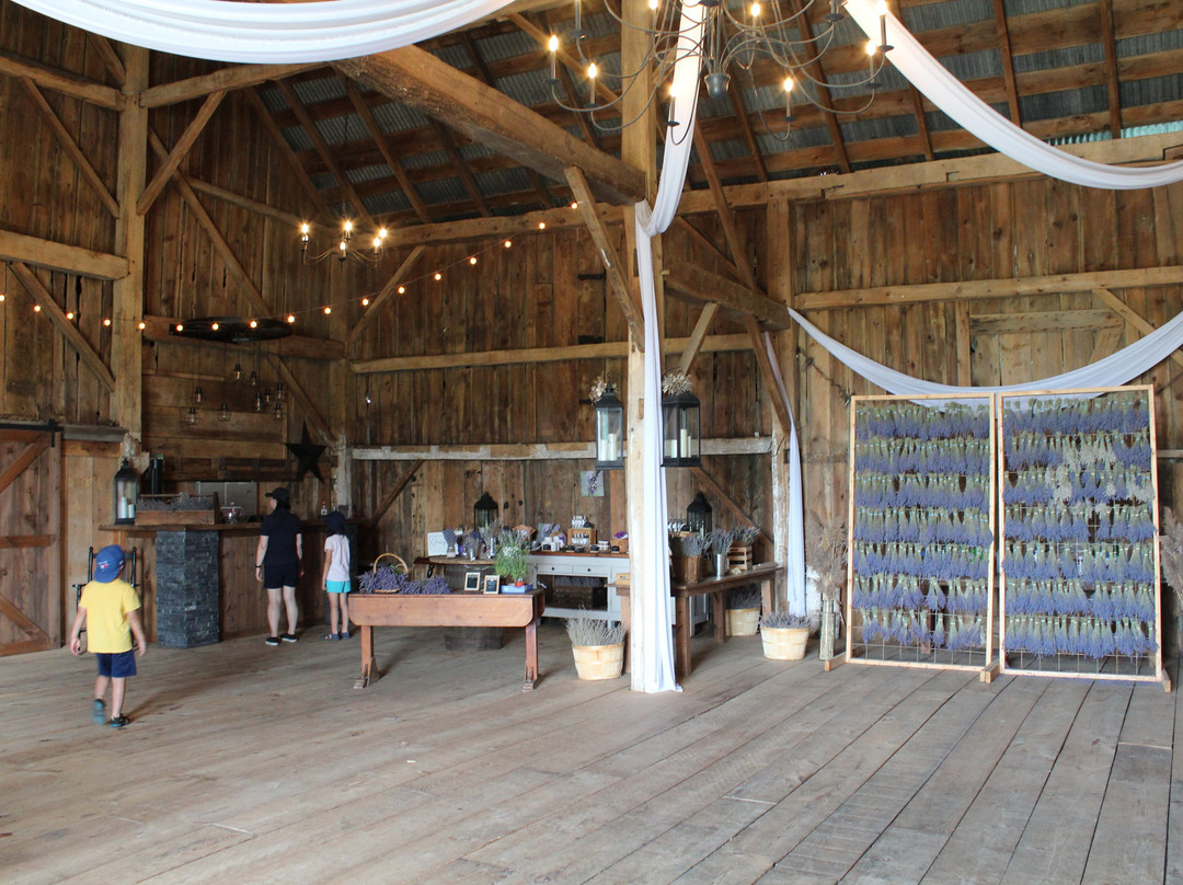 Gray Silo Lavender Farm-Port Perry必去景点