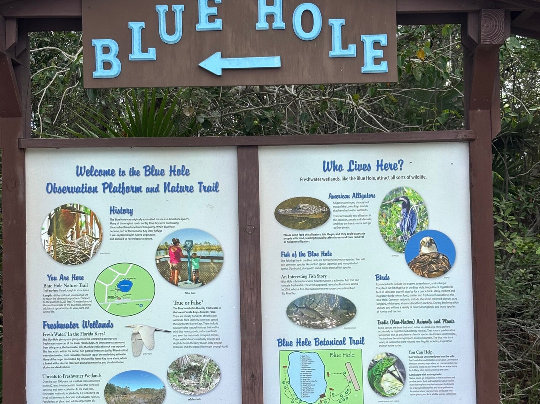Blue Hole-Big Pine Key必去景点