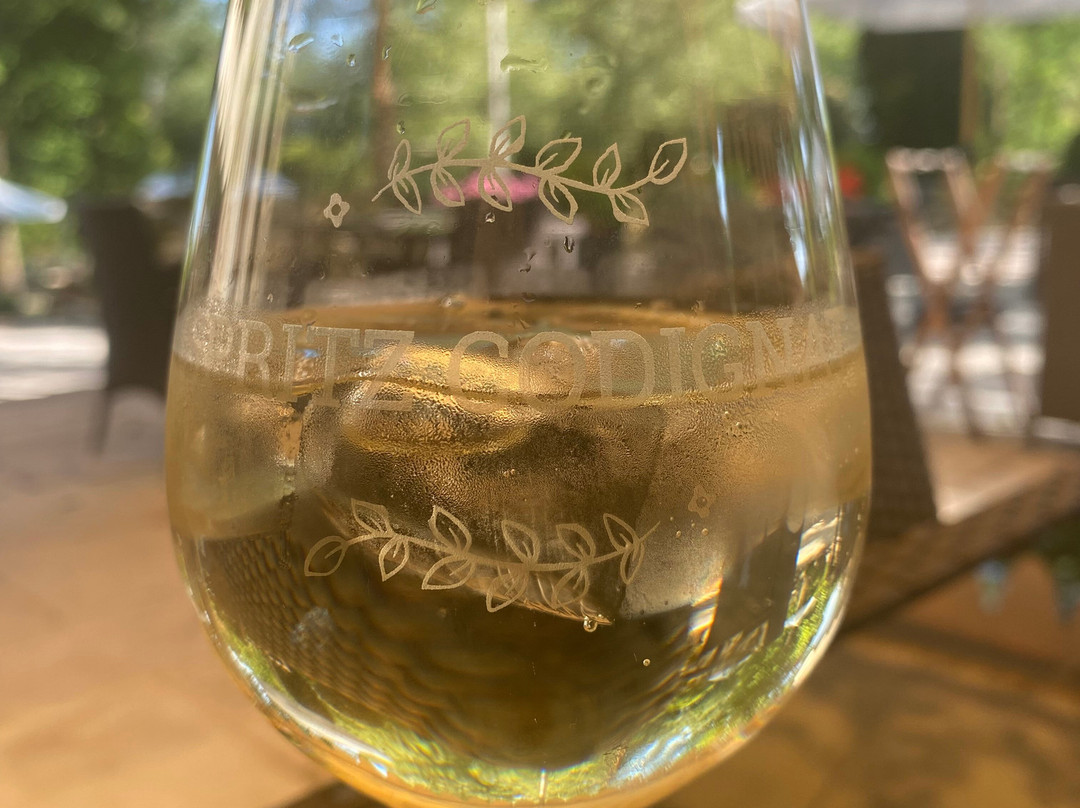 科迪纳特城堡酒店主图