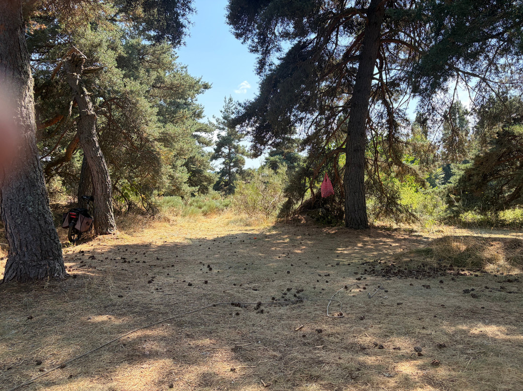 Camping de la rode