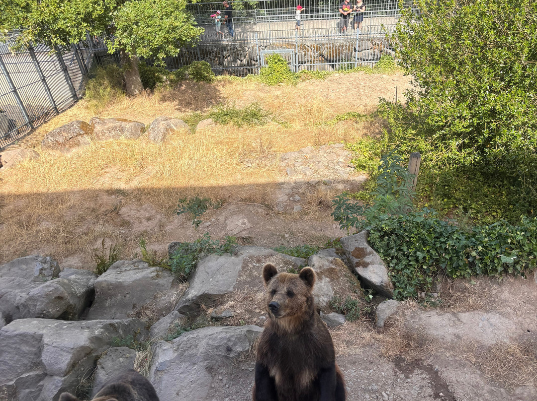 Wild- & Freizeitpark-Klotten必去景点