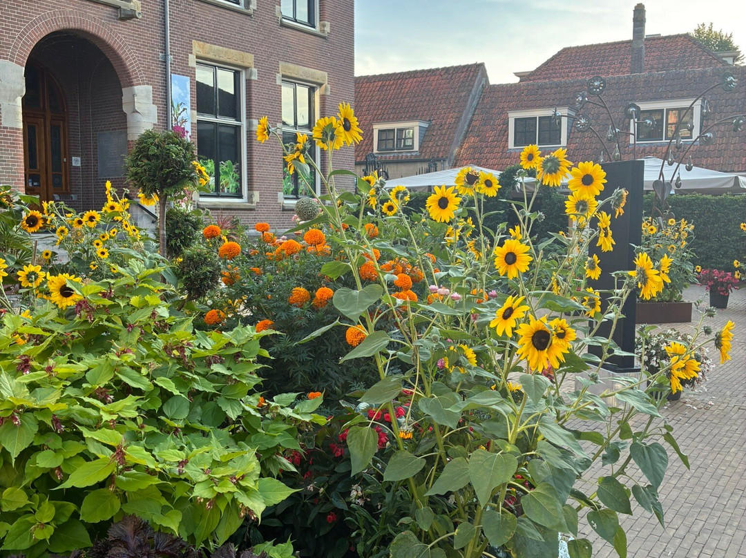Oude Weeshuis (17e eeuw)-恩克赫伊曾必去景点