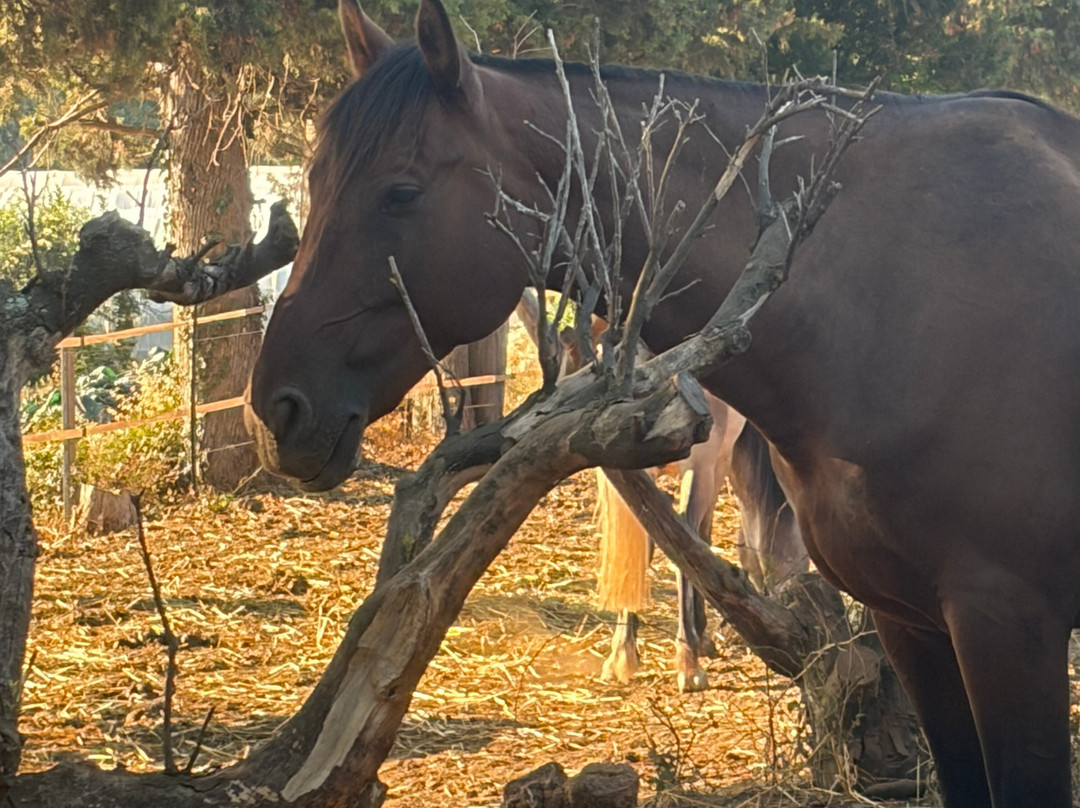 Aux Poneys d Eden-Canale-di-Verde必去景点