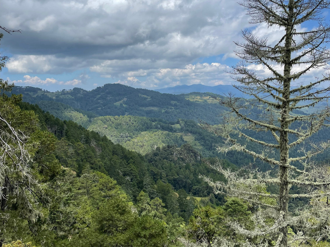 Discover Oaxaca Tours-瓦哈卡必去景点