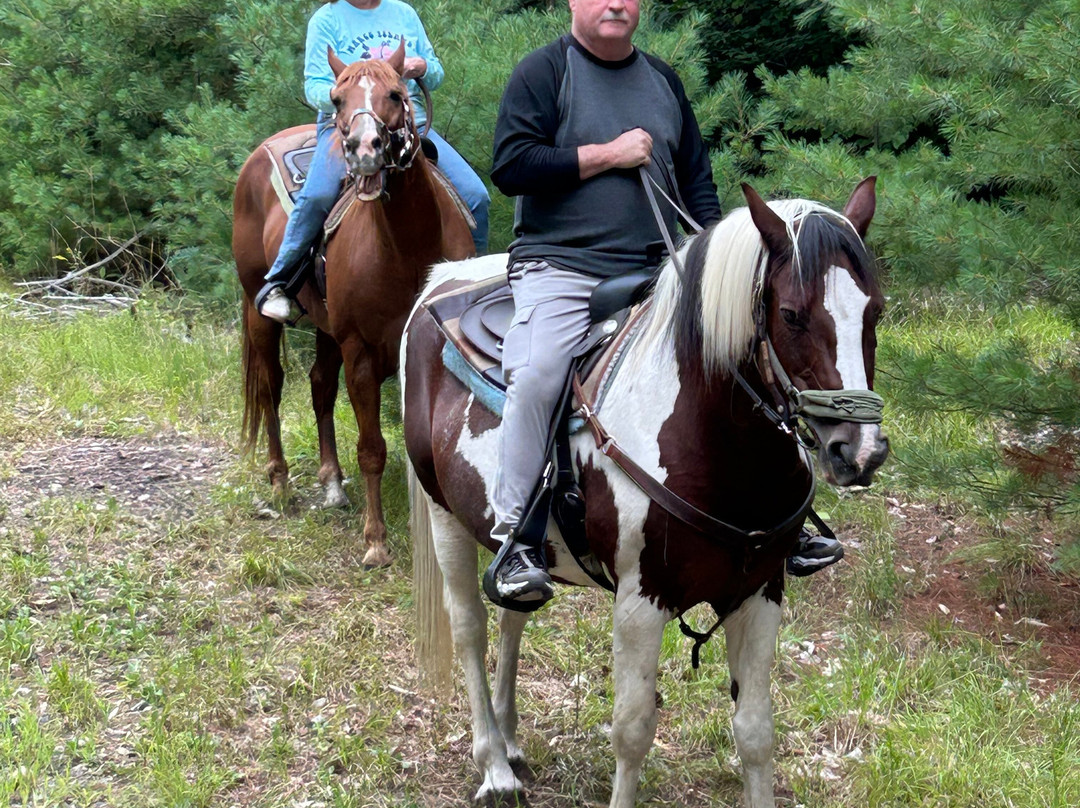 Ruggiero's Public Horseback Riding And Cabin Rentals-Lake Luzerne必去景点