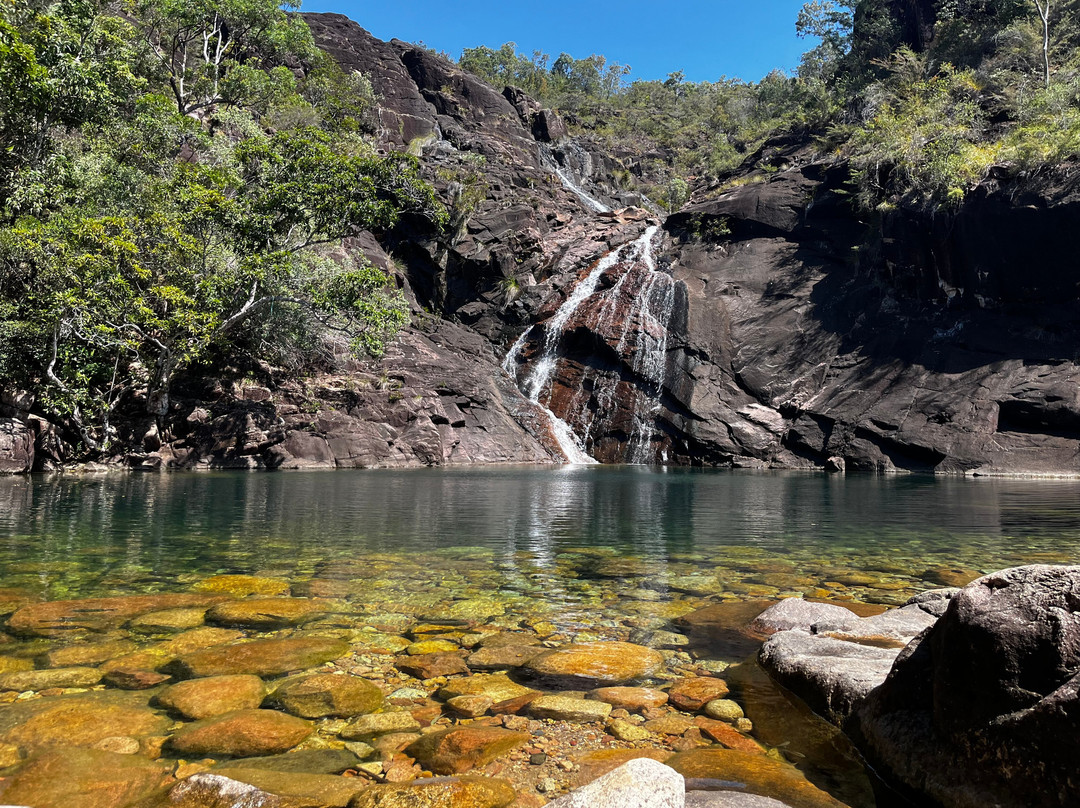 Absolute North Charters-Hinchinbrook Island必去景点
