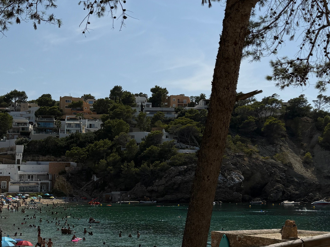 Cala Vadella-Cala Vadella必去景点