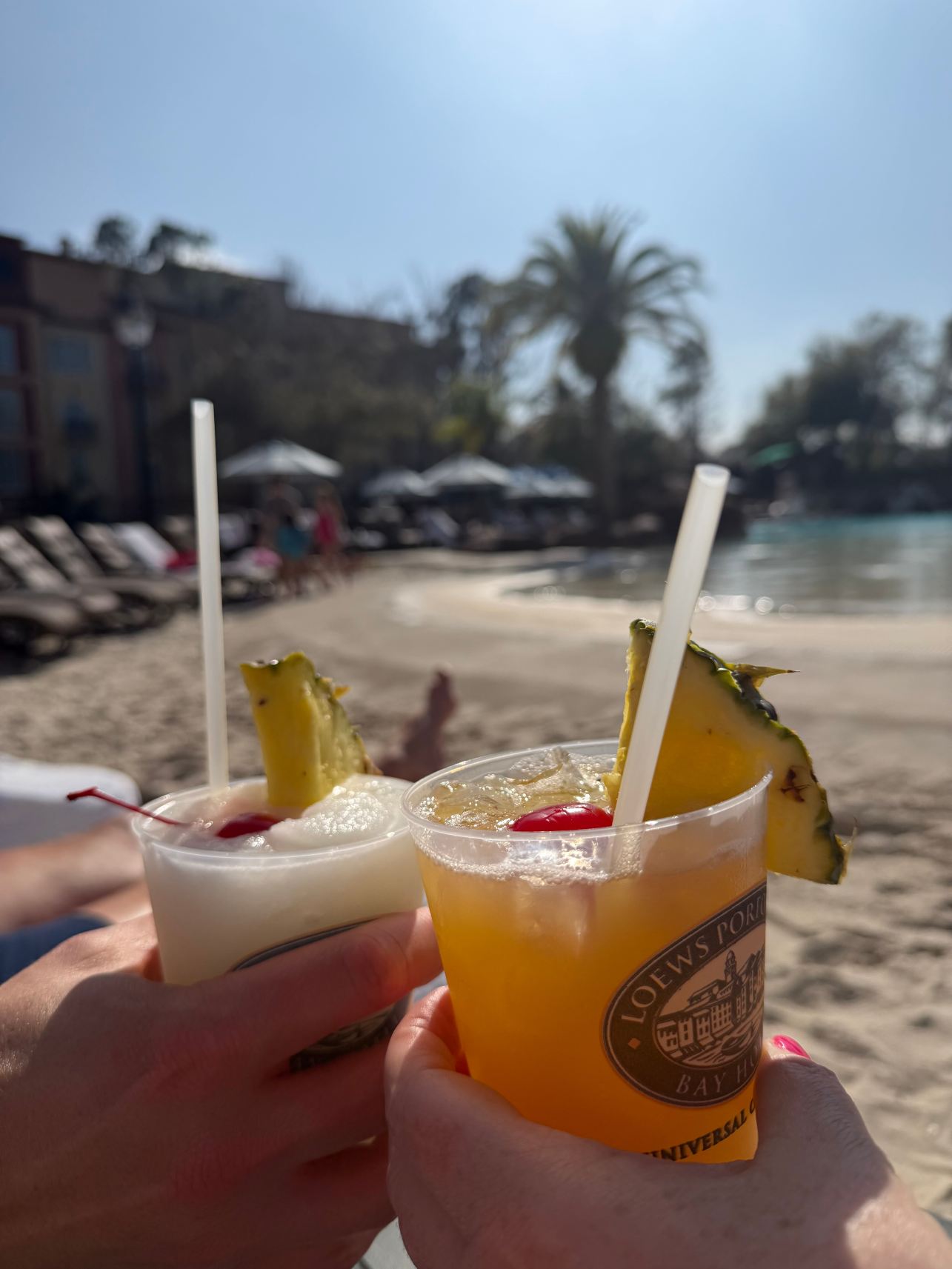 洛伊斯波托菲诺湾酒店-旅行者