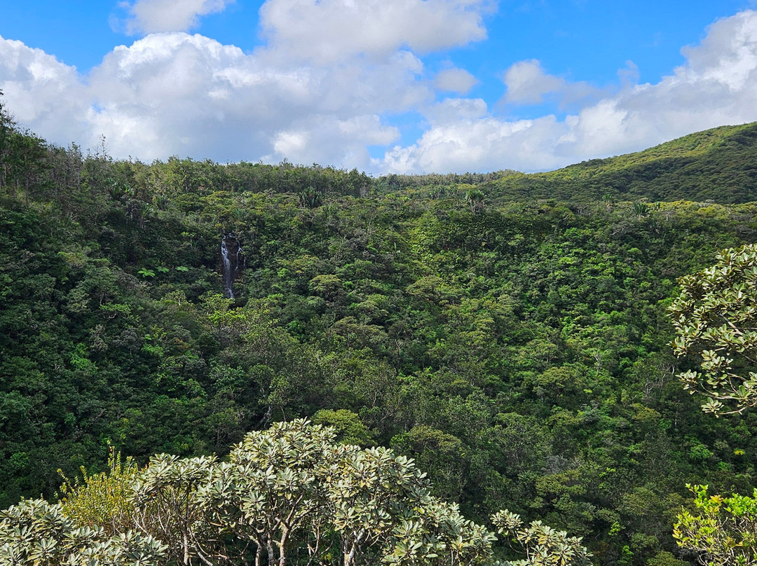 Alexandra Falls-Union Park必去景点