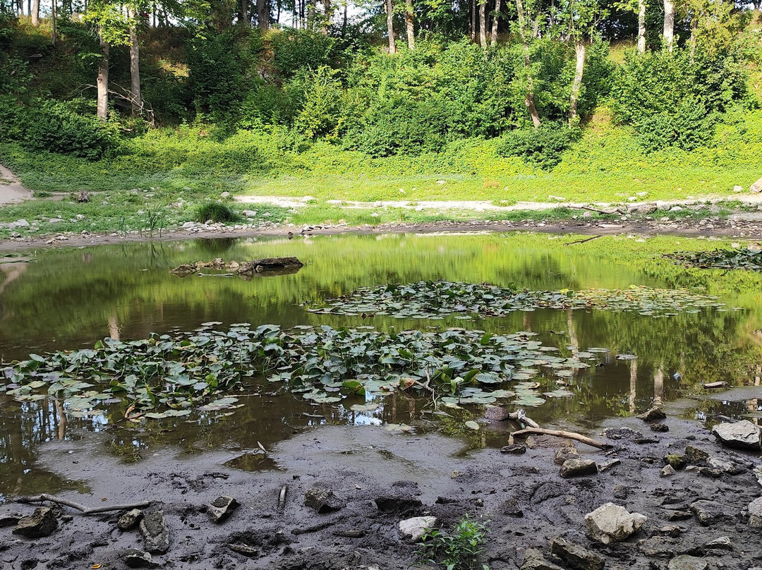 Kaali Meteorite Crater-Saaremaa必去景点