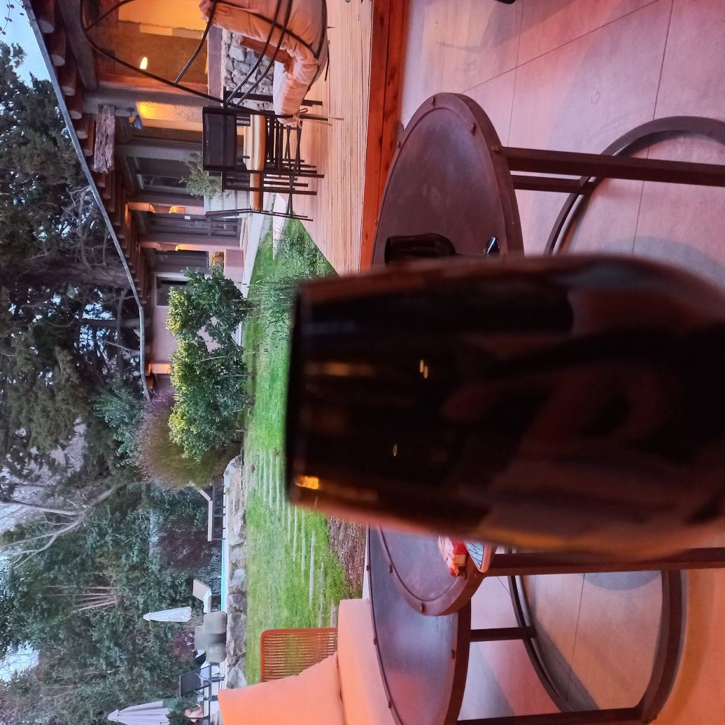 拉雷斯查克拉斯酒店-旅行者