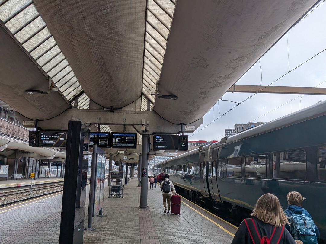 Oslo S - Oslo Central Station-奥斯陆必去景点