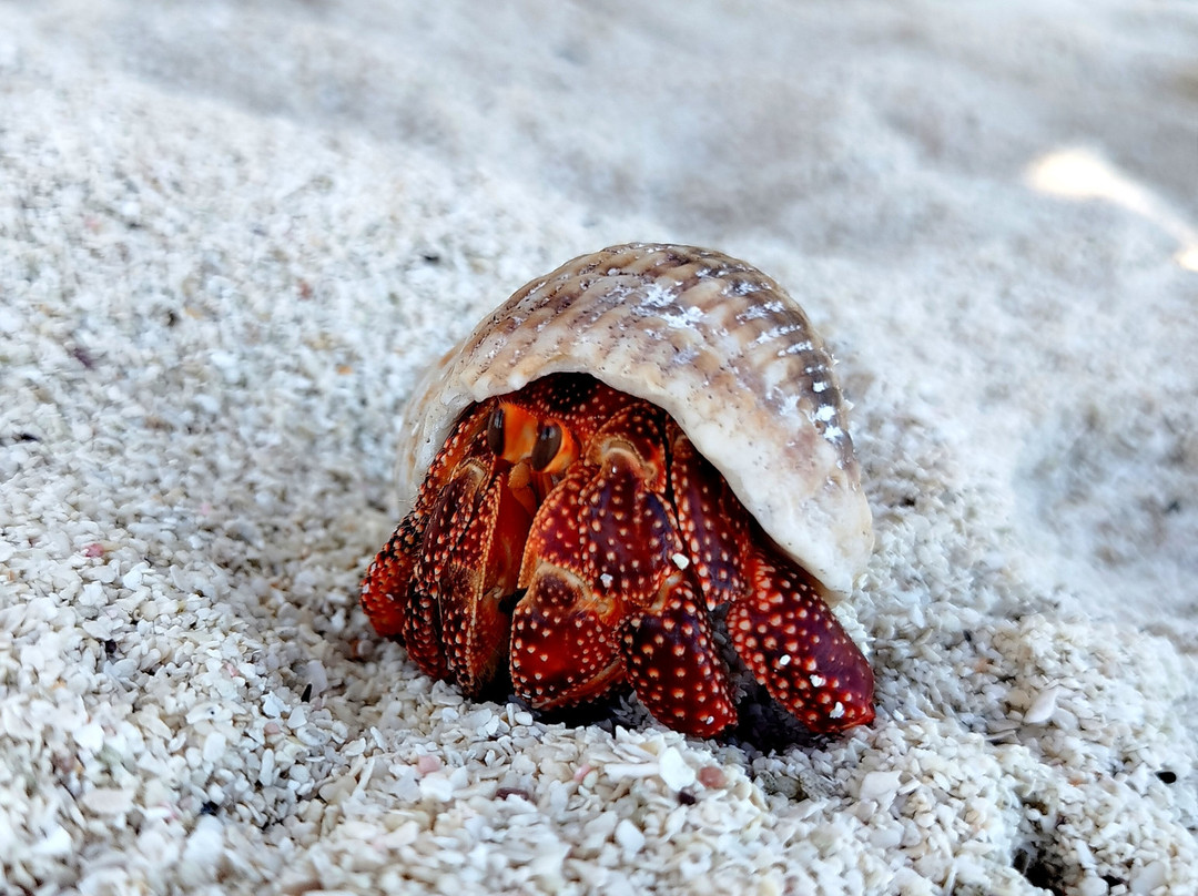 Akaiami Beach-艾图塔基必去景点