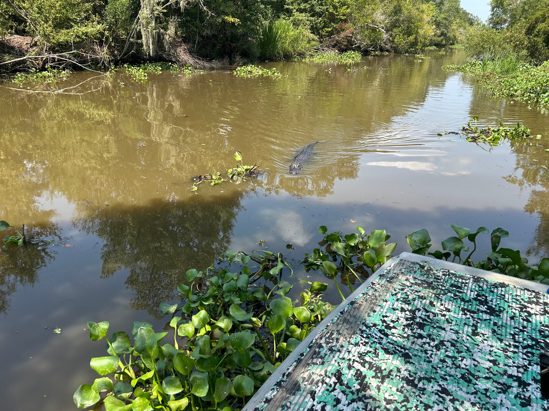 Ragin Cajun Airboat Tours-新奥尔良必去景点