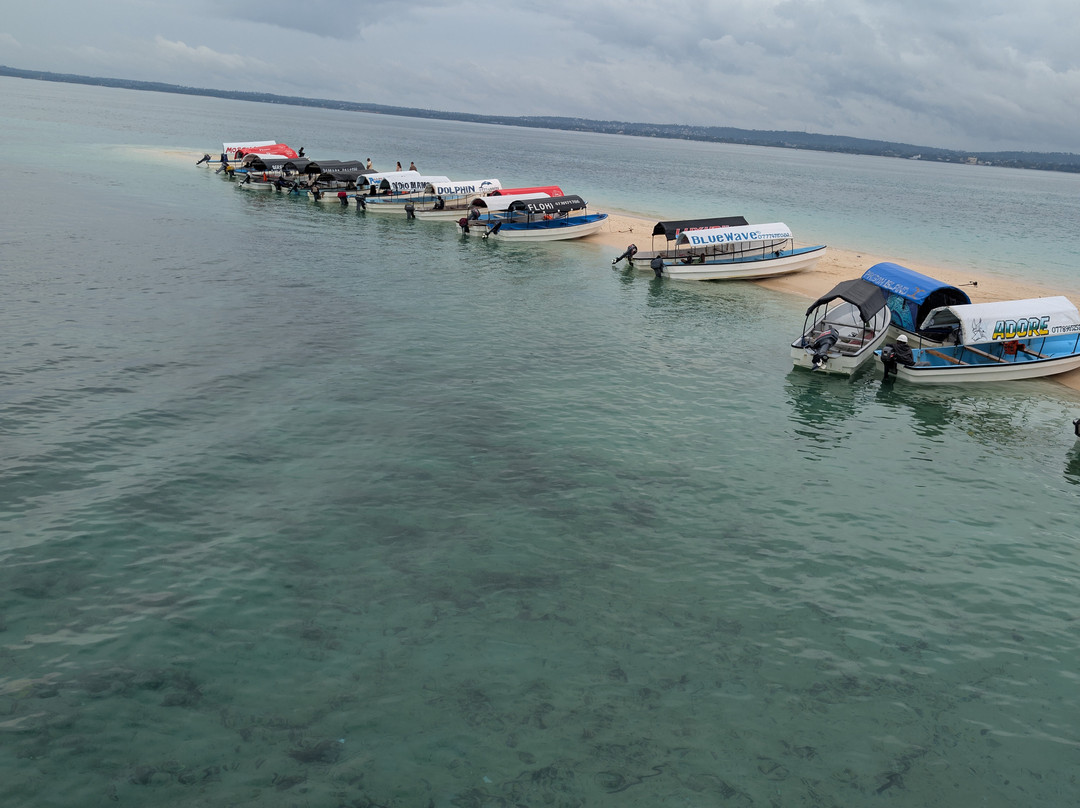 Prison Island - Changuu Private Island-石头城必去景点