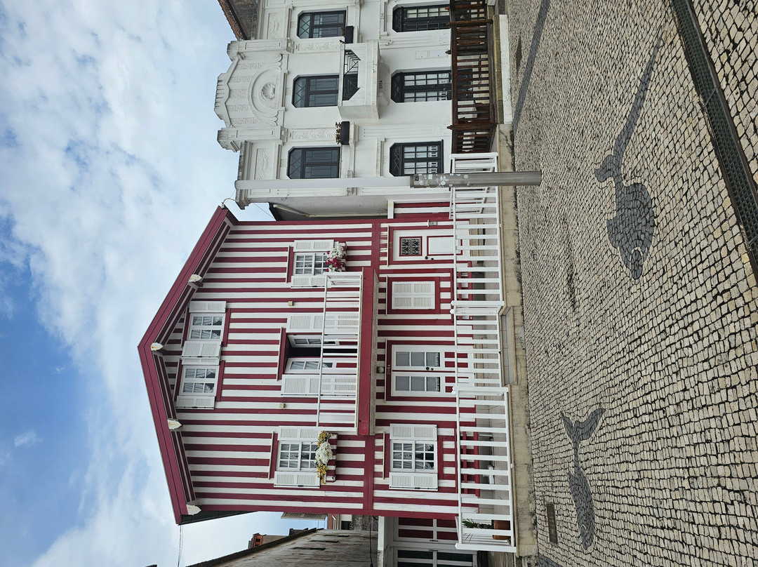 Casas Típicas De Costa Nova