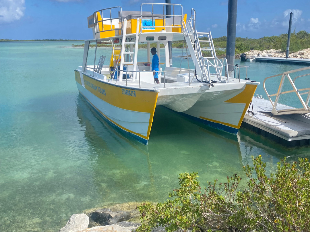 Caicos Dream Tours-普罗维登西亚莱斯必去景点