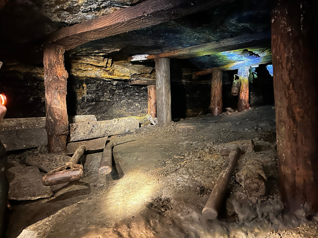 Hopewell Colliery-Coleford必去景点