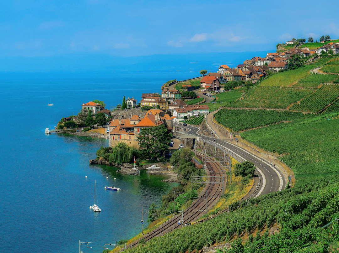 Lavaux Vineyard Terraces-居利必去景点